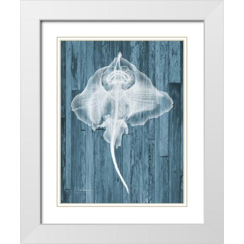 Skate Wood White Modern Wood Framed Art Print with Double Matting by Koetsier, Albert