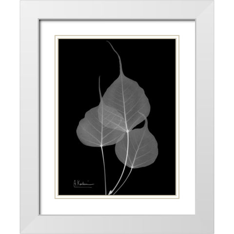 BoTree E158 White Modern Wood Framed Art Print with Double Matting by Koetsier, Albert