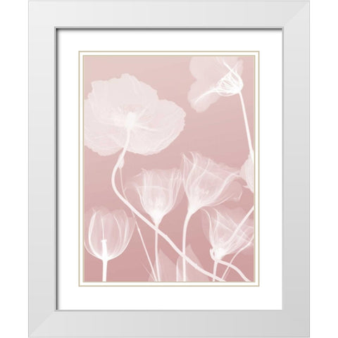 Pink Flora 1 White Modern Wood Framed Art Print with Double Matting by Koetsier, Albert
