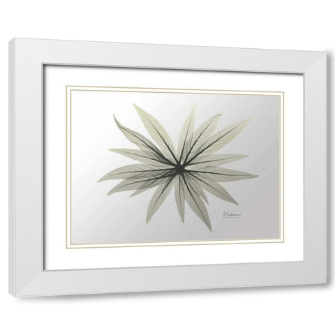 New Echium White Modern Wood Framed Art Print with Double Matting by Koetsier, Albert