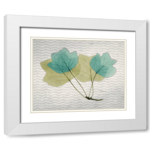 Citrus Tulip Tree White Modern Wood Framed Art Print with Double Matting by Koetsier, Albert