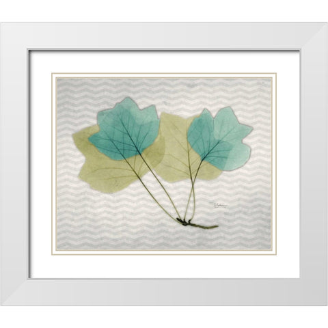 Citrus Tulip Tree White Modern Wood Framed Art Print with Double Matting by Koetsier, Albert