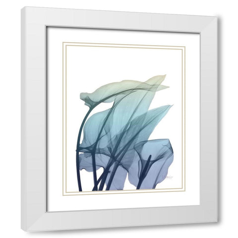 Ombre Expression 3 White Modern Wood Framed Art Print with Double Matting by Koetsier, Albert