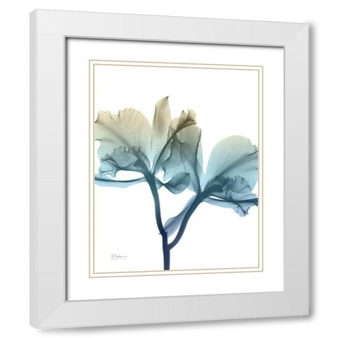 Ombre Expression 8 White Modern Wood Framed Art Print with Double Matting by Koetsier, Albert