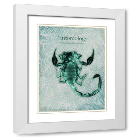 Unassailable Scorpion White Modern Wood Framed Art Print with Double Matting by Koetsier, Albert