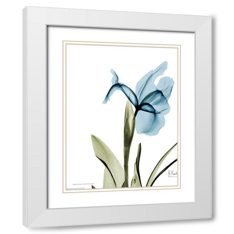 Iris B76 White Modern Wood Framed Art Print with Double Matting by Koetsier, Albert