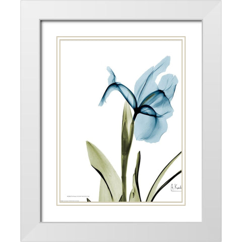 Iris B76 White Modern Wood Framed Art Print with Double Matting by Koetsier, Albert