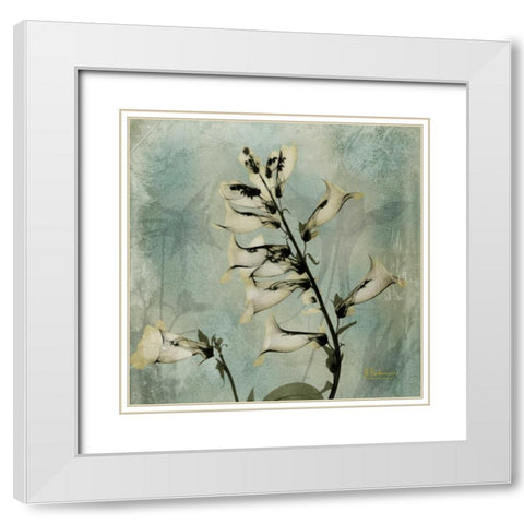 Golden Fox Glove White Modern Wood Framed Art Print with Double Matting by Koetsier, Albert