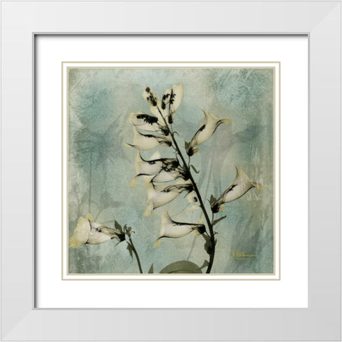 Golden Fox Glove White Modern Wood Framed Art Print with Double Matting by Koetsier, Albert