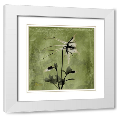 Columbine White Modern Wood Framed Art Print with Double Matting by Koetsier, Albert