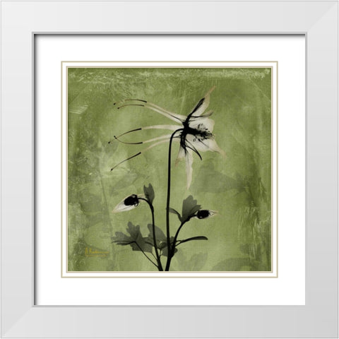 Columbine White Modern Wood Framed Art Print with Double Matting by Koetsier, Albert