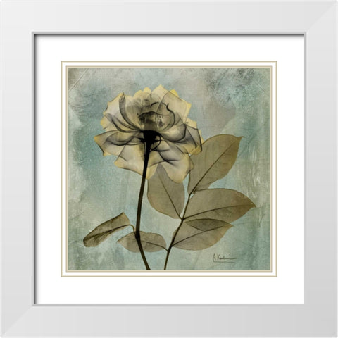 Rose White Modern Wood Framed Art Print with Double Matting by Koetsier, Albert