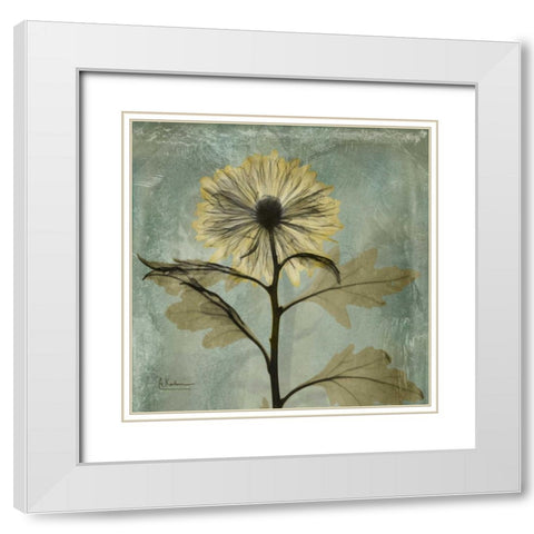 Chrysanthemum White Modern Wood Framed Art Print with Double Matting by Koetsier, Albert