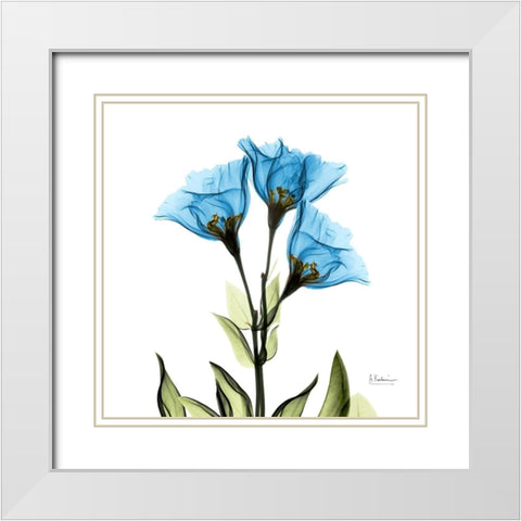 Gentian Sapphire L301 White Modern Wood Framed Art Print with Double Matting by Koetsier, Albert