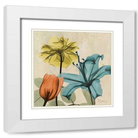 New Avalon VI White Modern Wood Framed Art Print with Double Matting by Koetsier, Albert