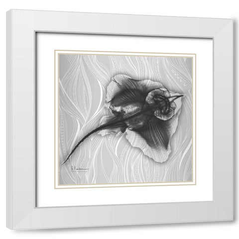 Skate Vision 2 White Modern Wood Framed Art Print with Double Matting by Koetsier, Albert