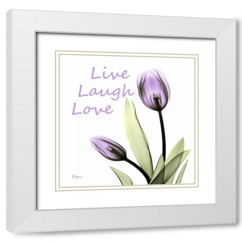 LLL C64 White Modern Wood Framed Art Print with Double Matting by Koetsier, Albert