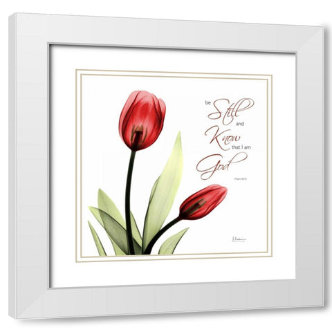 Be Still Tulip C64 White Modern Wood Framed Art Print with Double Matting by Koetsier, Albert