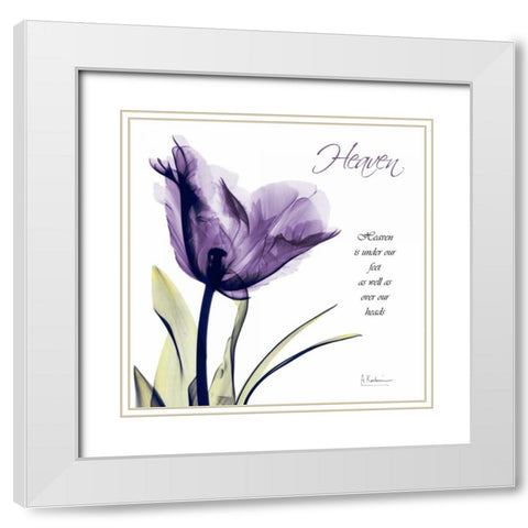 Tulip Heaven White Modern Wood Framed Art Print with Double Matting by Koetsier, Albert