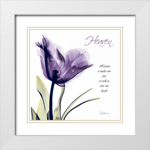 Tulip Heaven White Modern Wood Framed Art Print with Double Matting by Koetsier, Albert