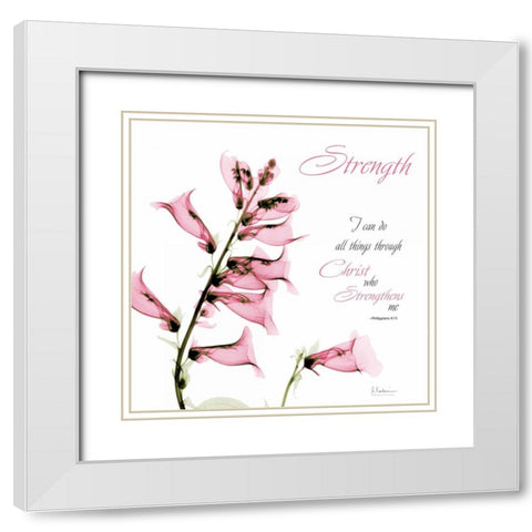 Philippians White Modern Wood Framed Art Print with Double Matting by Koetsier, Albert