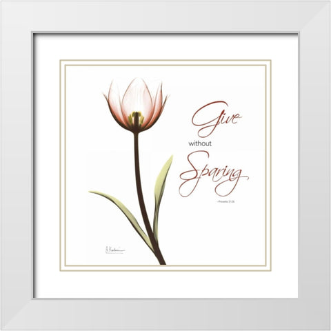 Giving Tulip C69 White Modern Wood Framed Art Print with Double Matting by Koetsier, Albert