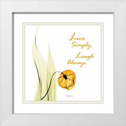 Live Laugh Sandersonia H51 White Modern Wood Framed Art Print with Double Matting by Koetsier, Albert