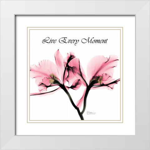 Moment Orchid White Modern Wood Framed Art Print with Double Matting by Koetsier, Albert