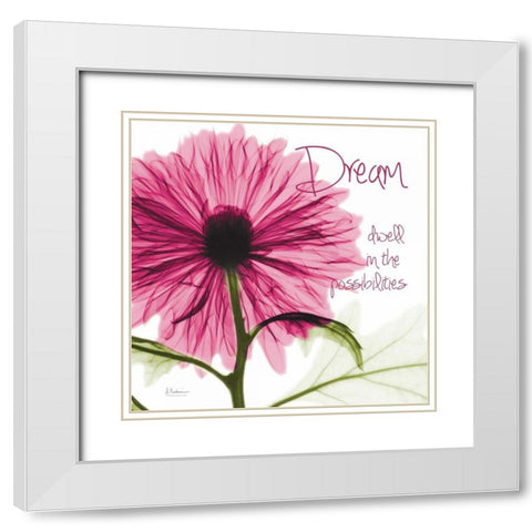 Pink Chrysanthemum Dream White Modern Wood Framed Art Print with Double Matting by Koetsier, Albert