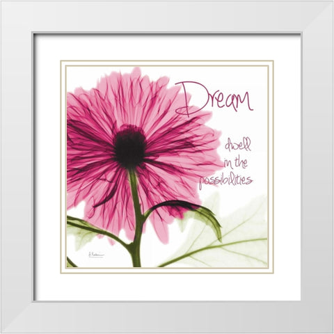 Pink Chrysanthemum Dream White Modern Wood Framed Art Print with Double Matting by Koetsier, Albert