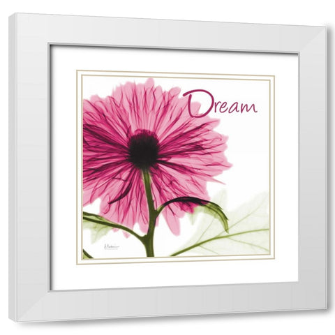 Pink Chrysanthemum Dream White Modern Wood Framed Art Print with Double Matting by Koetsier, Albert