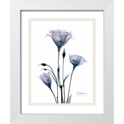 Midnight Gentian 2 White Modern Wood Framed Art Print with Double Matting by Koetsier, Albert