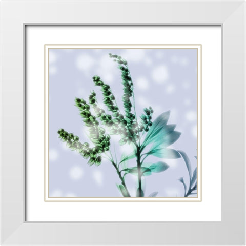 Simply Misty White Modern Wood Framed Art Print with Double Matting by Koetsier, Albert