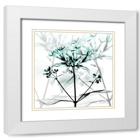Crystalized Floral White Modern Wood Framed Art Print with Double Matting by Koetsier, Albert
