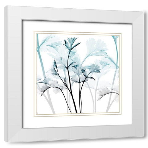 Amethyst Glow White Modern Wood Framed Art Print with Double Matting by Koetsier, Albert