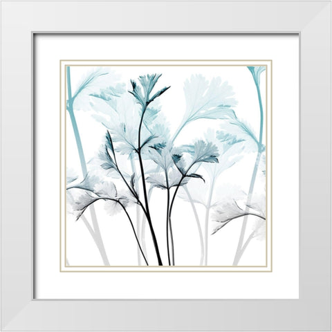 Amethyst Glow White Modern Wood Framed Art Print with Double Matting by Koetsier, Albert
