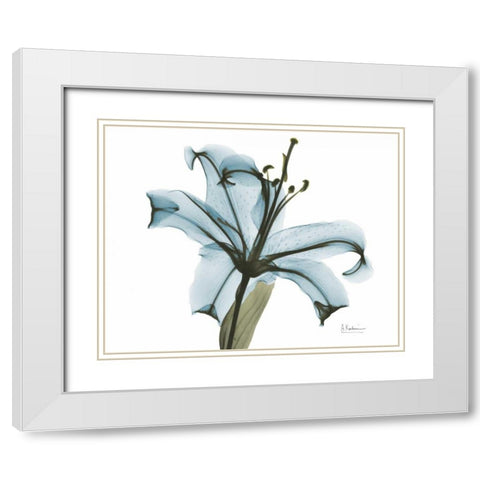 Teal Lily White Modern Wood Framed Art Print with Double Matting by Koetsier, Albert