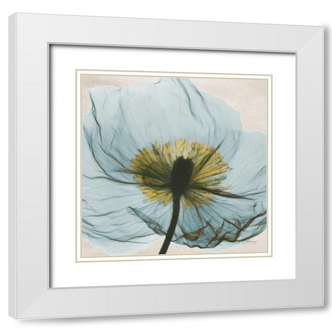 Dream in Pale Blue White Modern Wood Framed Art Print with Double Matting by Koetsier, Albert