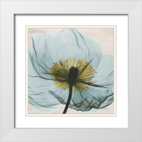 Dream in Pale Blue White Modern Wood Framed Art Print with Double Matting by Koetsier, Albert