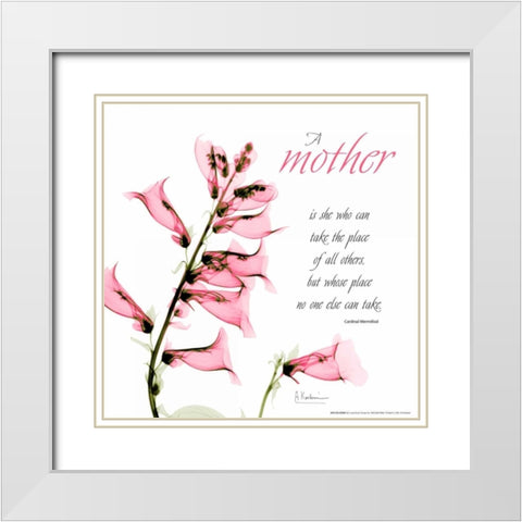 Fox glove Mother White Modern Wood Framed Art Print with Double Matting by Koetsier, Albert