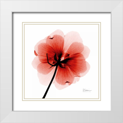 mockDogwood White Modern Wood Framed Art Print with Double Matting by Koetsier, Albert