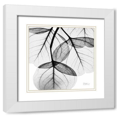 Eucalyptus White Modern Wood Framed Art Print with Double Matting by Koetsier, Albert