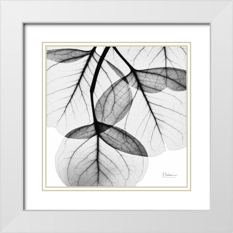 Eucalyptus White Modern Wood Framed Art Print with Double Matting by Koetsier, Albert