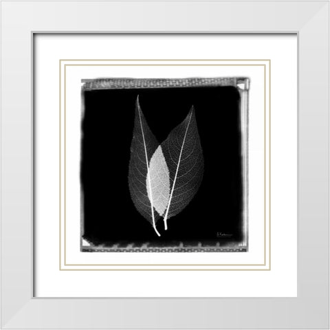 Caplulin Cherry STAR White Modern Wood Framed Art Print with Double Matting by Koetsier, Albert