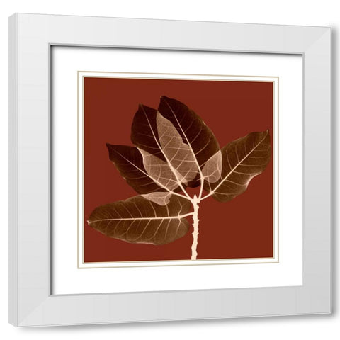 Harvest Leaves 1A White Modern Wood Framed Art Print with Double Matting by Koetsier, Albert