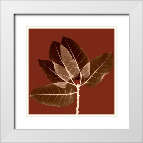 Harvest Leaves 1A White Modern Wood Framed Art Print with Double Matting by Koetsier, Albert