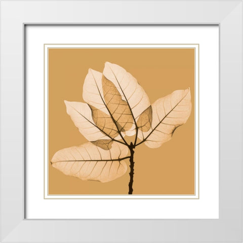 Harvest Leaves 1B White Modern Wood Framed Art Print with Double Matting by Koetsier, Albert