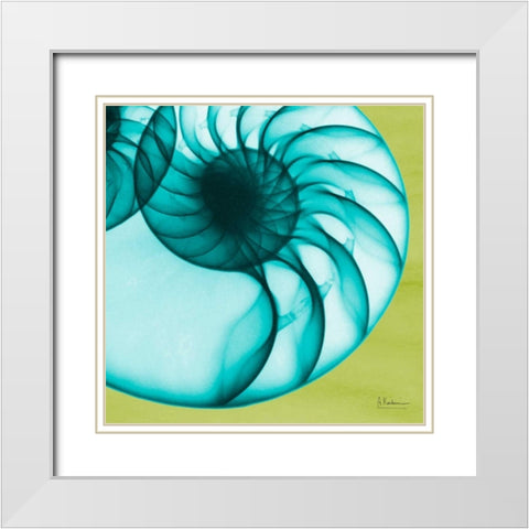 Neon Nautilus White Modern Wood Framed Art Print with Double Matting by Koetsier, Albert