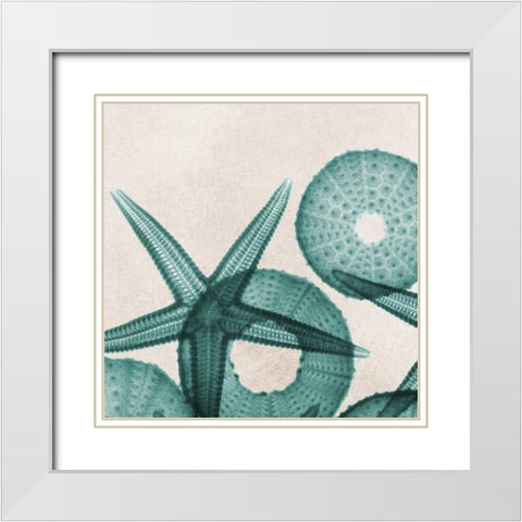 Under The Sea 5 White Modern Wood Framed Art Print with Double Matting by Koetsier, Albert