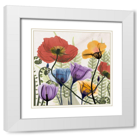 Flowers And Ferns White Modern Wood Framed Art Print with Double Matting by Koetsier, Albert
